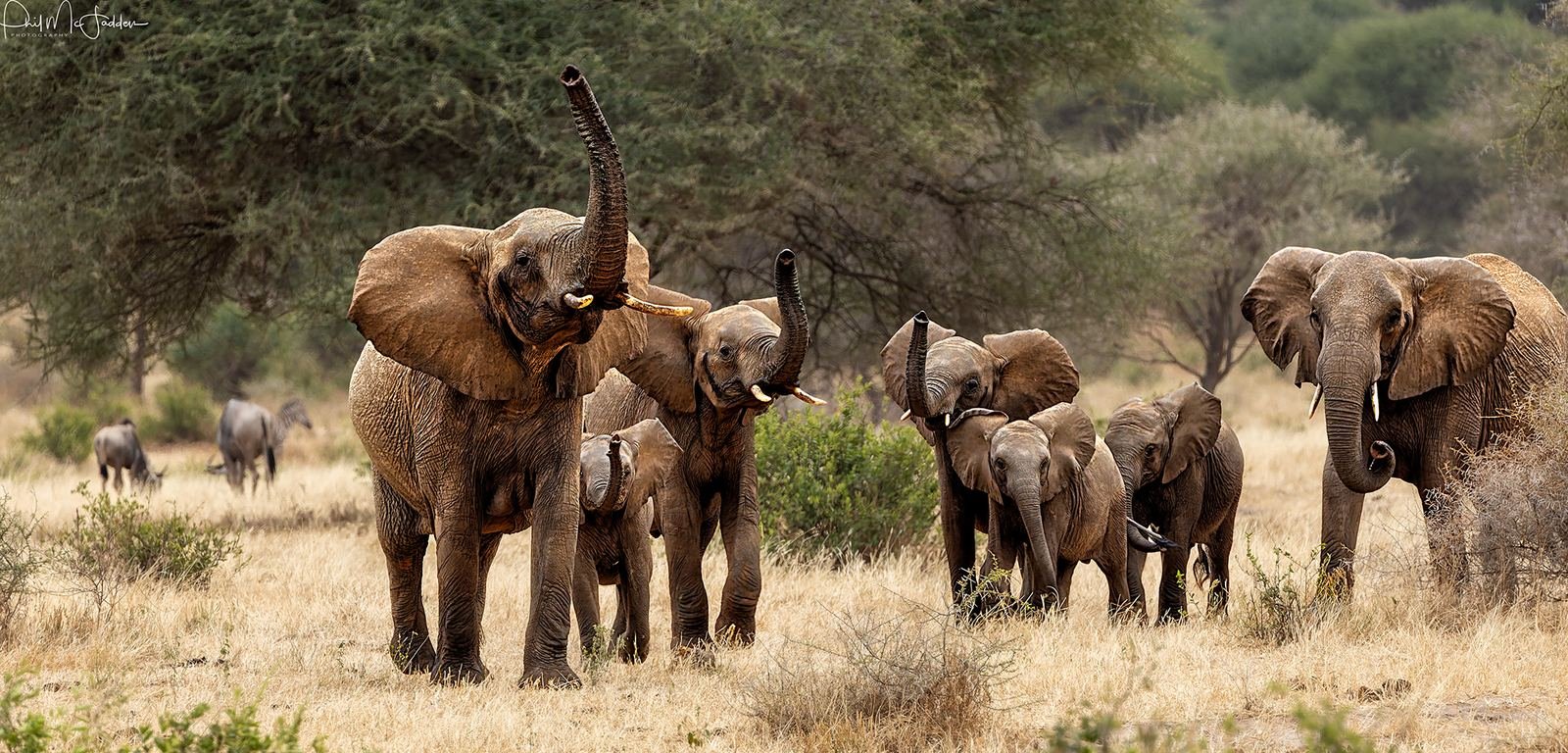 Is Tanzania safe for tourists? A straight answer from the ground
