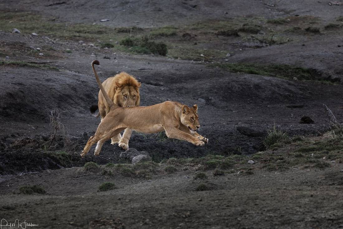 Action favours the patient — and the well-positioned.
